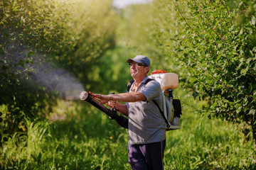 Caucasian mature peasant in working clothes, hat and with modern pesticide spray machine on backs...