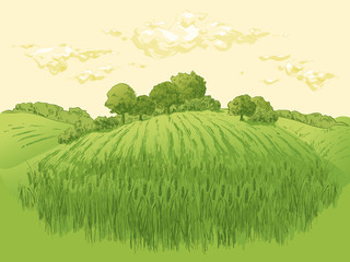 Obraz premium Rural landscape field wheat. Hand drawn vector Countryside landscape engraving style illustration.