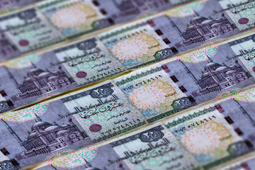 Money of Egypt. Egyptian pound background. 20 pounds