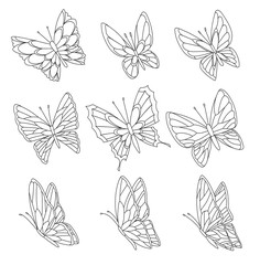Coloring book page of butterflies isolated on white background. Pretty vector butterfly set with spring palette for child.
