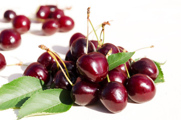Ripe cherries with green leaves, natural sunlight