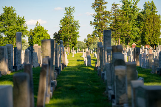 Graves at a cemetery with green grass and trees