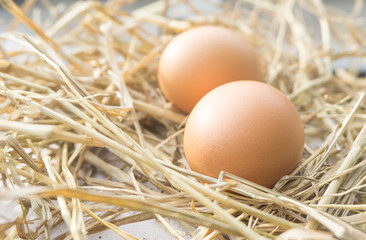 Close up chicken eggs on straw with wooden and reflective sunrise .Fresh eggs from farm for cooking high nutrition healthty food with blurred background.