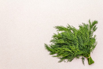 Fresh organic herb dill