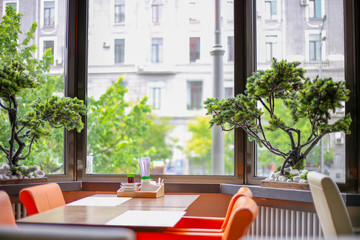 Fototapeta na wymiar interior with beautiful bonsai. Restaurant with panoramic windows