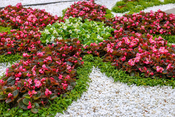 Natural landscaping panorama in home garden. Beautiful view of landscaped garden in backyard. Scenery of landscaping area in summer. Landscape design with flower beds. Close up
