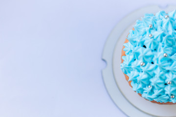 blue custard cupcake, birthday concept