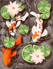 Koi carp swimming in a pond with lily lotus with green leaves on transparent water and stone bottom flat vector illustration © Alfmaler