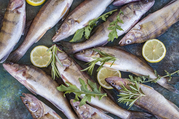fresh fish pike perch with fresh vegetables and herbs on the background