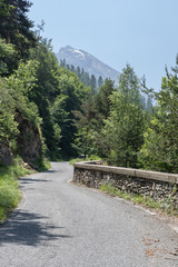 Road climbing up on mountains trough the forest in Piedmont, Italy.