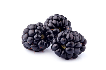 Blackberries  Isolated on White Background. Macro.
