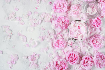 roses and rose petals pattern on white plaster background