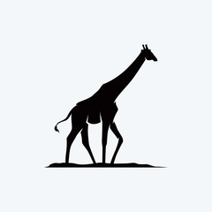 black giraffe vector illustration. giraffe, silhouette, africa, african, black, logo, animal, herbivore, vector, walk, tall, white, wild, wildlife, zoo © StrongBrand