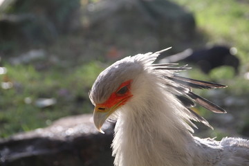 I am handsome.