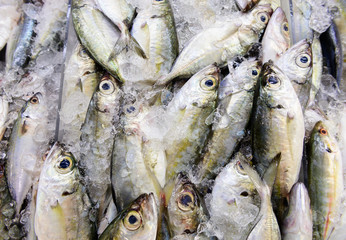 Obraz premium Mackerel on ice at seafood market