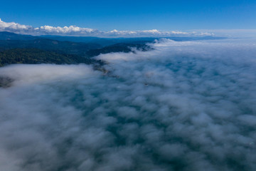 The marine layer drifts from the Pacific Ocean towards the rugged yet scenic coastline of Northern California. A marine layer is an air mass formed in the presence of a temperature inversion.