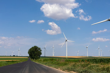 Windmills at the Danube Delta