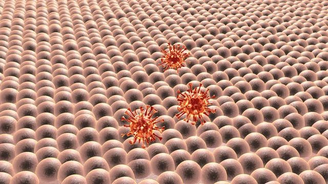 3D rendered Animation of Viruses or Germs falling on Skin.