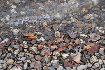 Germany. Travel the Rhine.