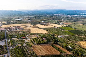 aerial view of farm fields near of the mountains