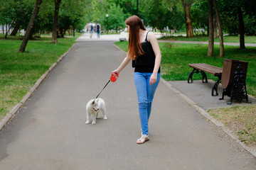 Young girl is walking with her dog on a retractable leash on asphalt sidewalk. Little white puppy Husky 2 months old in summer park.