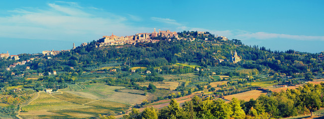San Gimignano and vineyards around this Italian beautiful city (UNESCO heritage), Italy