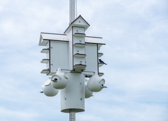 Multiple bird houses in one wooden structure in state park in New Jersey