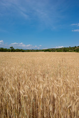 Green mountains and clear sky around Valbona