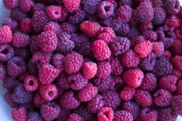 Many raspberries 
