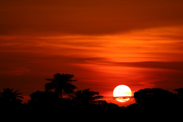 Fototapeta na wymiar sunset and colorful flame cloud silhouette tree on red sky