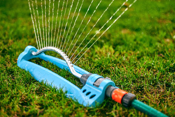 watering can on green grass