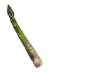 An edible, raw stems of asparagus isolated on white background.