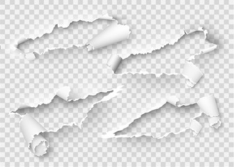 Torn ripped paper vector template, sides with ripped edges on realistic paper background. Ripped side set of banners for web and print and space for text.