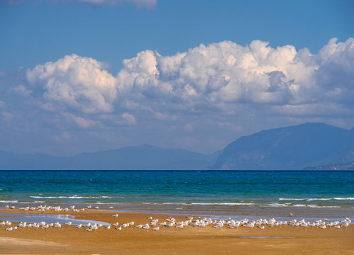 View of the sandy beach with orange sand, sea gulls and mountain views with Cumulus clouds on the island of Evia in Greece