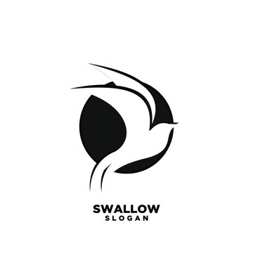 swallow bird logo icon designs vector