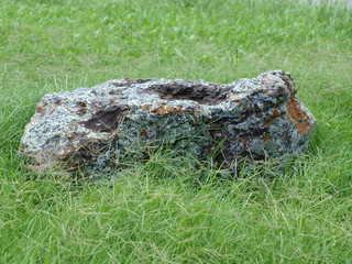 Fototapeta na wymiar A Lichens covered stone that once was part of a landscape project.