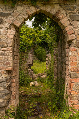 Fototapeta na wymiar The spooky brick archway of an old abanoned building, surronded by weeds and wild flowers, nobody in the image