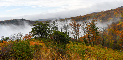 Aerial view of mountain forests engulfed in clouds during the autumn season