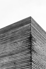 Modern black and white wood building architecture 
