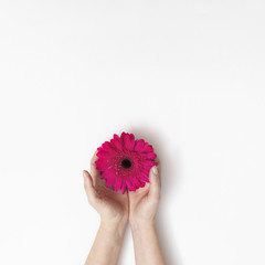 Hands with pink flower