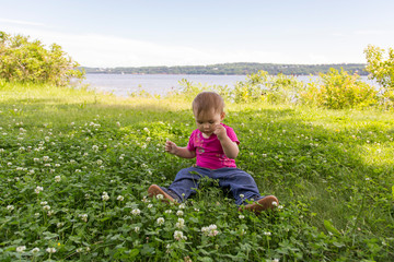 Horizontal frontal view of cute fair toddler girl sitting in the shade picking and examining clover flowers, Quebec City, Quebec, Canada