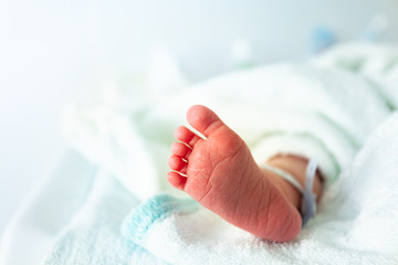 Close-up of a infant feet in hospital crib label