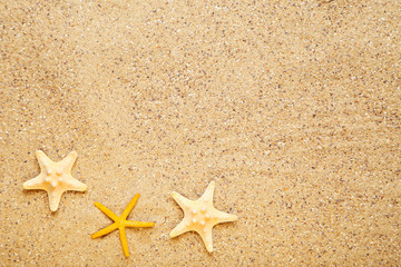 Starfishes on beach sand