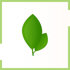 Icon of two green tea leaves