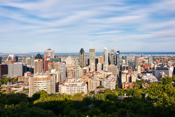 Fototapeta na wymiar Montreal city skyline view from Mount Royal on a sunny summer afternoon in Quebec, Canada