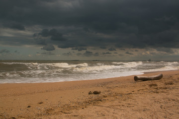 Fototapeta na wymiar Storm waves on the sandy shore of the Azov sea