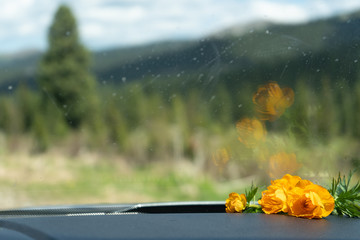 Fototapety na wymiar - Fototapeta24.pl