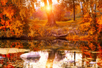 Amazing nature landscape, scenic autumn sunny forest with golden colored trees, sun and reflection in the water, outdoor background for wallpaper