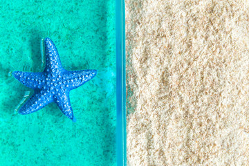 Fototapeta na wymiar Flat lay of starfish in water and beach abstract. Space for copy.
