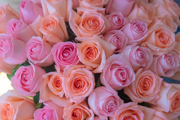 A bright bouquet of coral and pink roses. Texture. Background. Mother's day. Happy birthday concept.